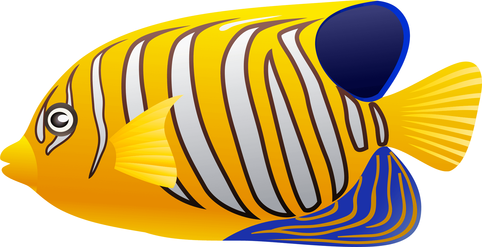 Colorful Tropical Fish Illustration PNG Image