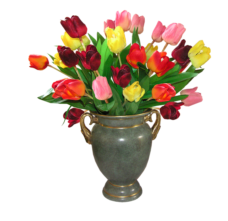 Colorful_ Tulips_in_ Vase.png PNG Image