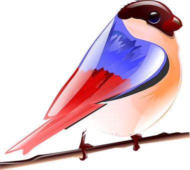 Colorful Vector Bird Illustration PNG Image