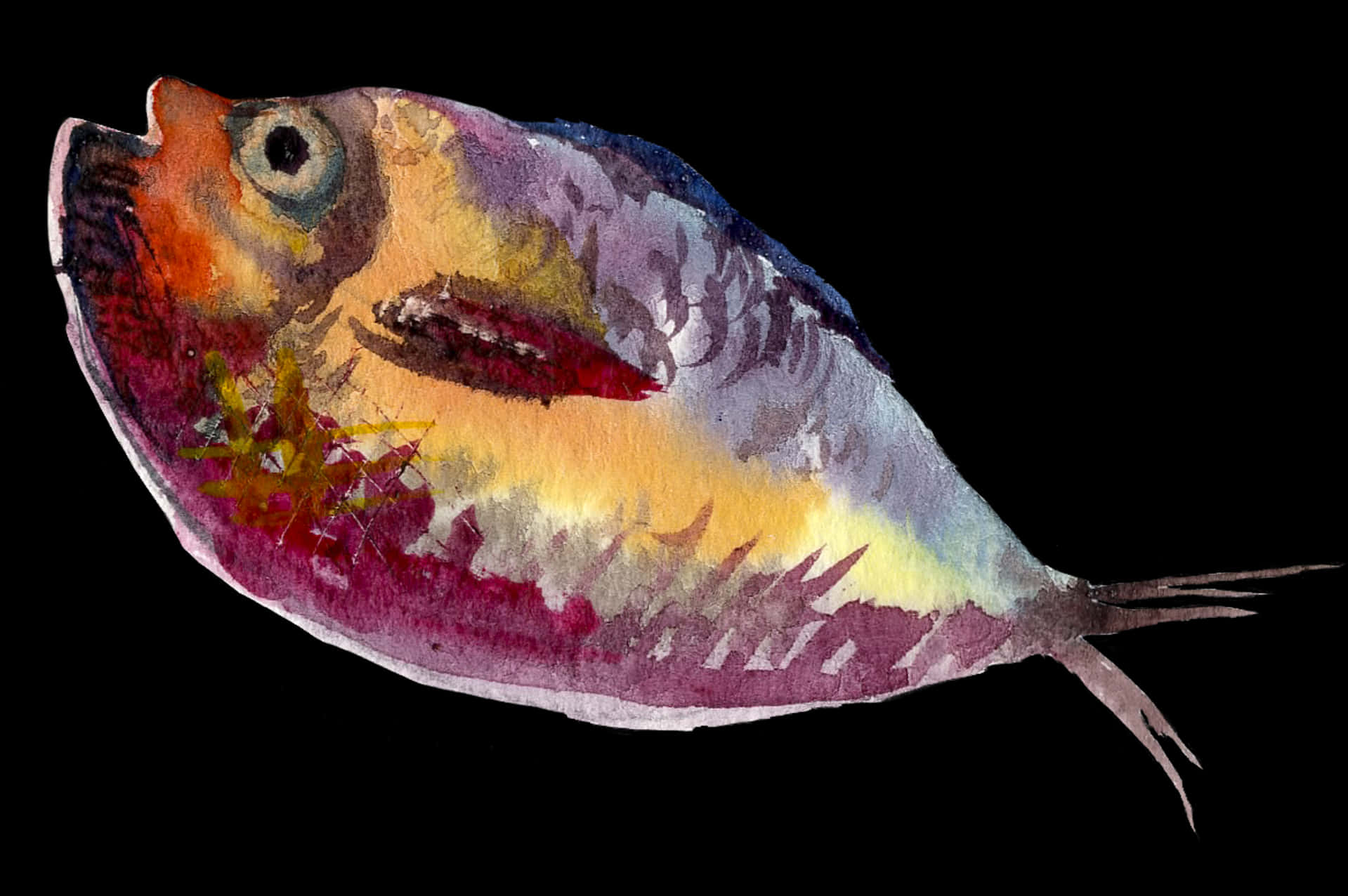 Colorful Watercolor Fish Artwork PNG Image