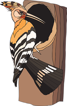 Colorful Woodpecker Illustration PNG Image