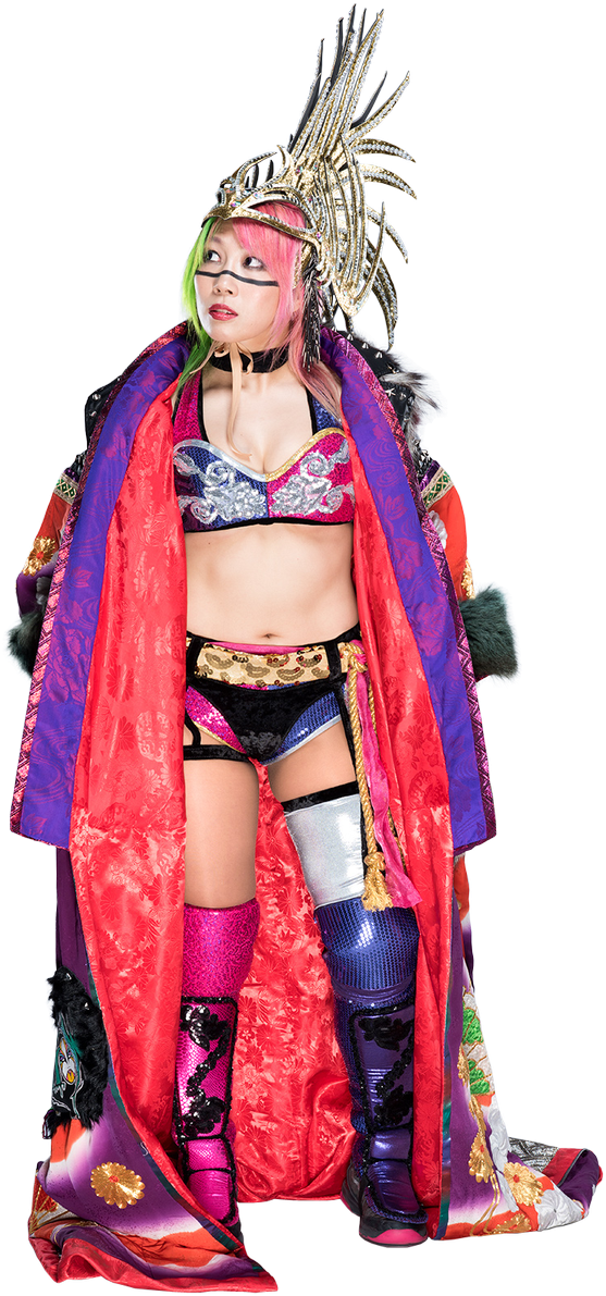 Colorful Wrestler Costume Portrait PNG Image