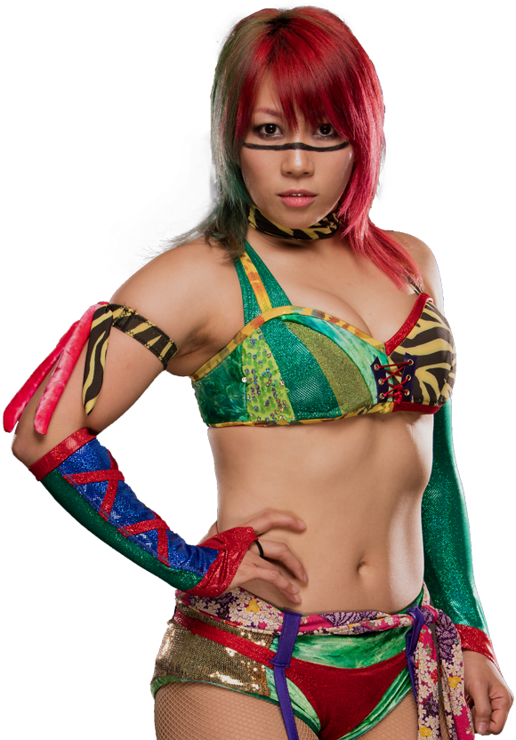 Colorful Wrestler Portrait PNG Image