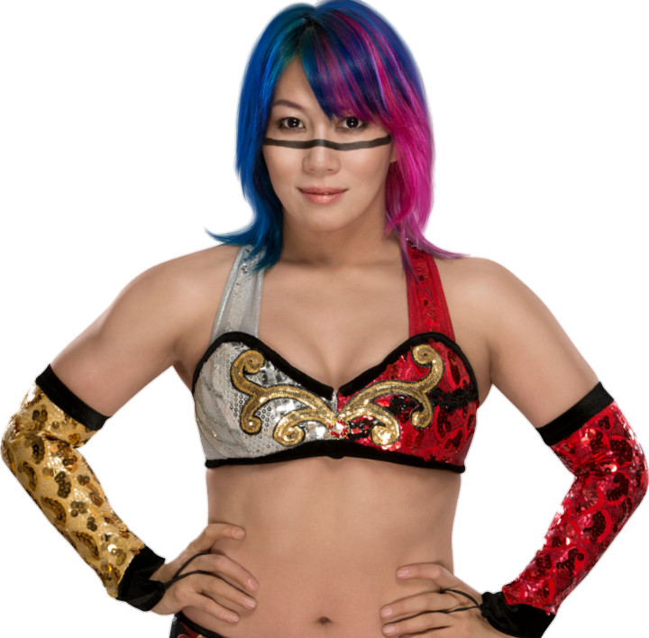 Colorful Wrestler Portrait PNG Image