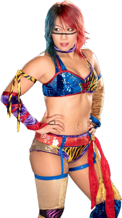 Colorful Wrestler Pose PNG Image