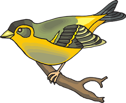 Colorful Yellow Bird Illustration PNG Image