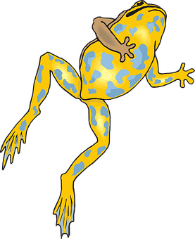 Colorful Yellow Blue Frog Illustration PNG Image