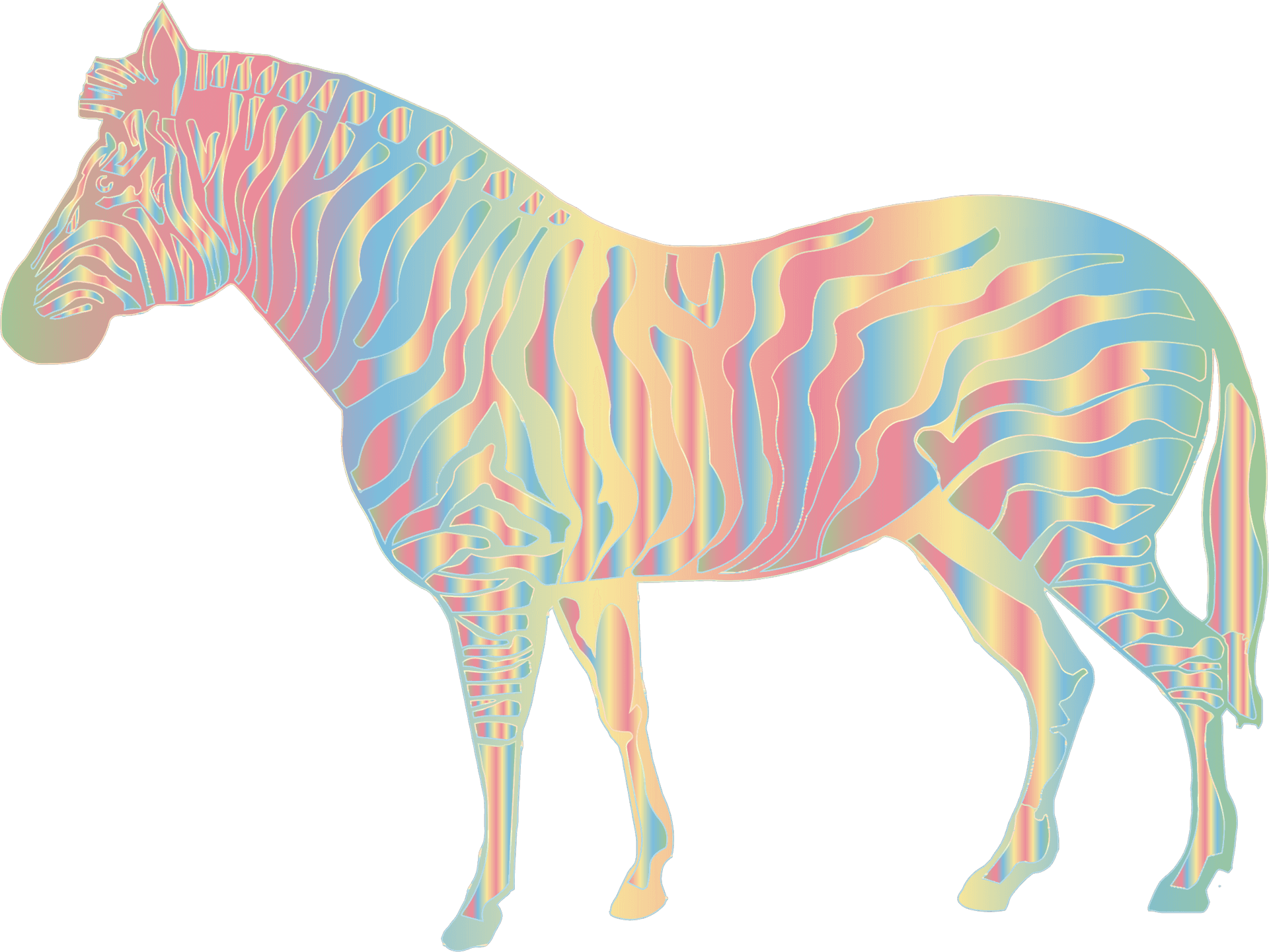 Colorful Zebra Artwork PNG Image