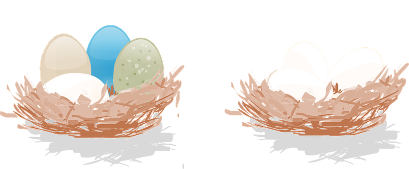 Colorfuland Plain Eggsin Nests PNG Image