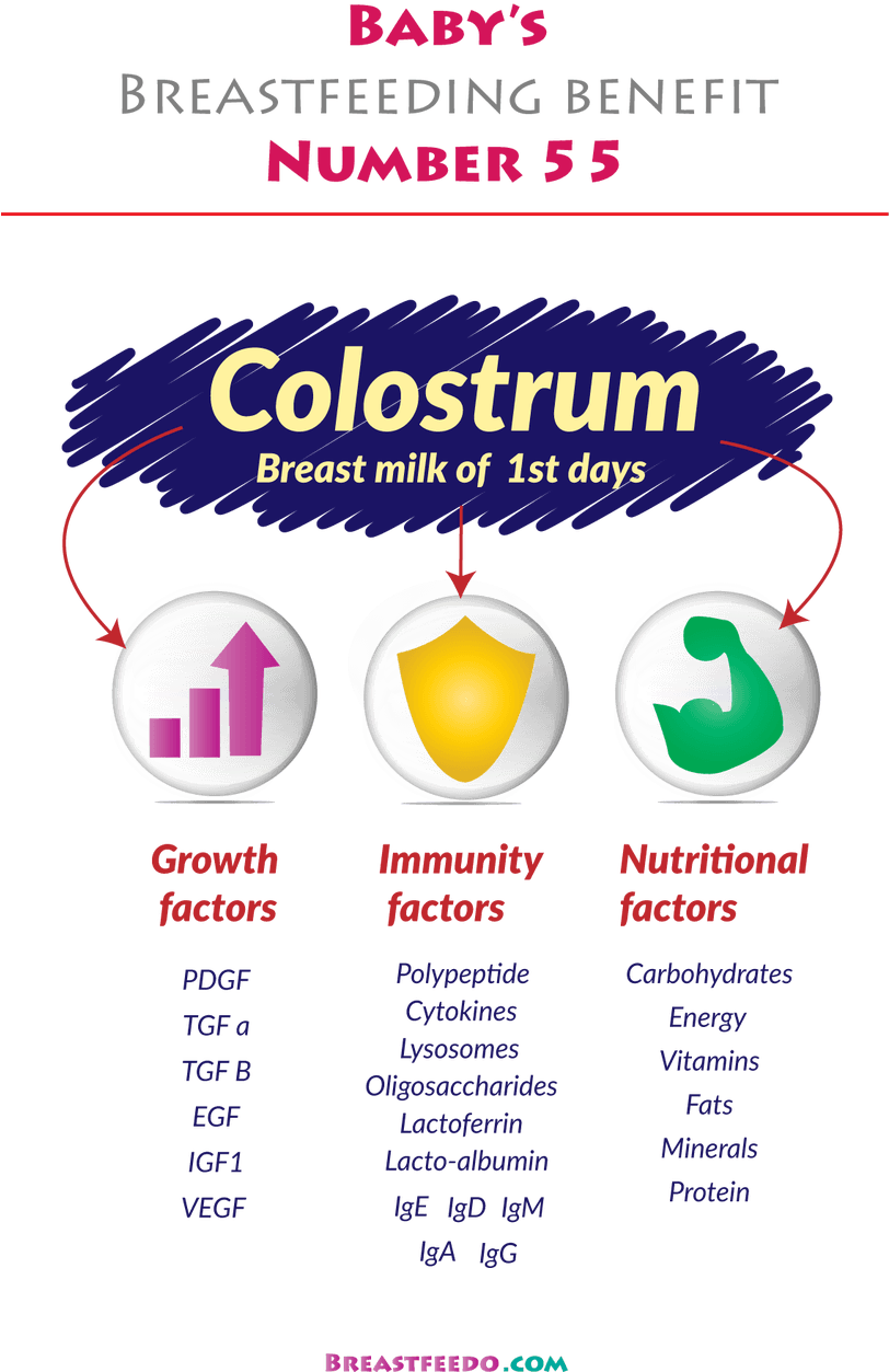 Colostrum Benefits Infographic PNG Image