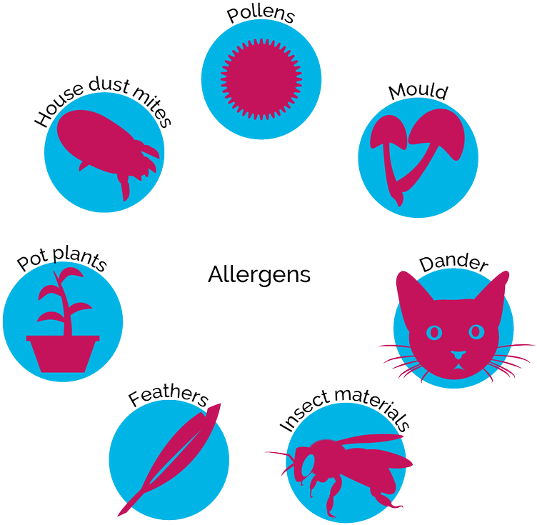 Common Allergens Chart PNG Image