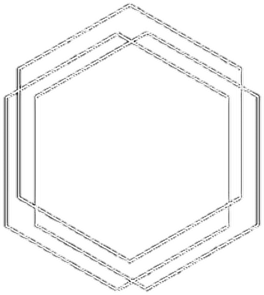 Concentric Hexagons Outline PNG Image