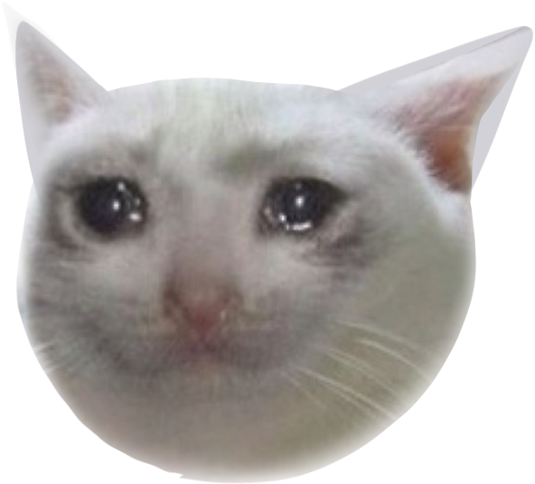 Concerned Cat Meme Face.png PNG Image