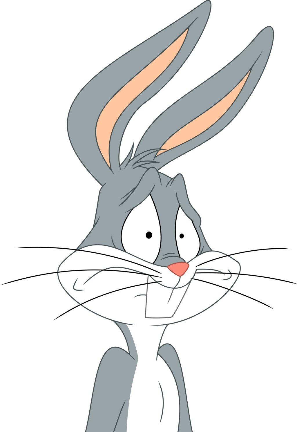 Confused Cartoon Bunny PNG Image