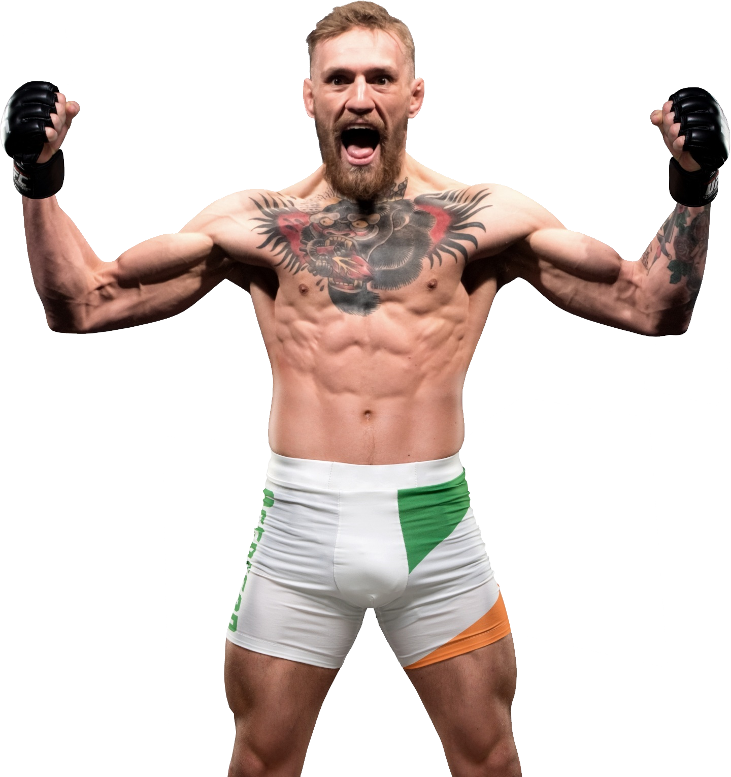 Conor Mc Gregor Victory Pose PNG Image