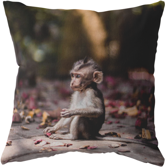 Contemplative Young Monkey PNG Image