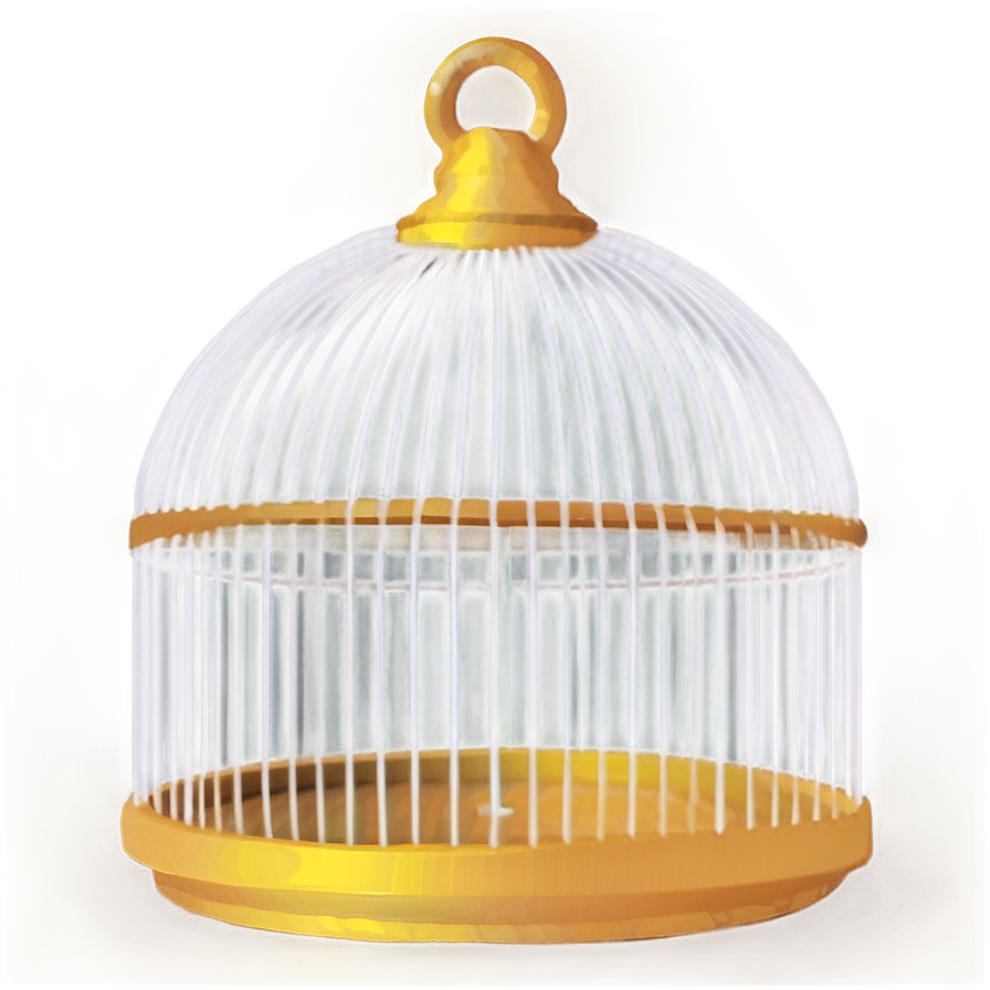 Contemporary Birdcage Png 05252024 PNG Image