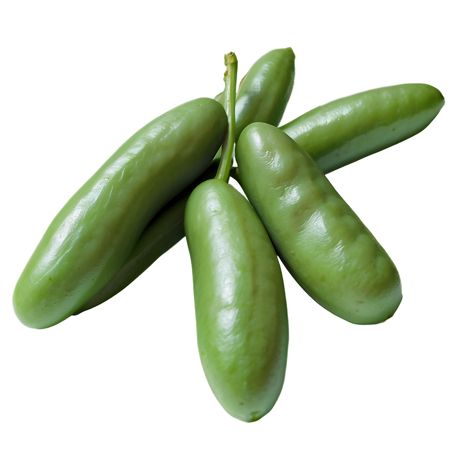 Cooked Beans Png 05242024 PNG Image