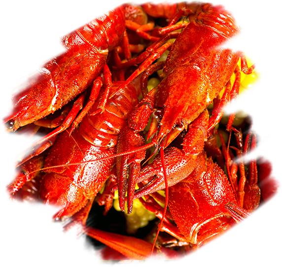 Cooked Crayfish Pile.png PNG Image