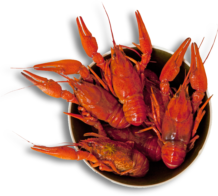 Cooked Crayfishin Bowl PNG Image