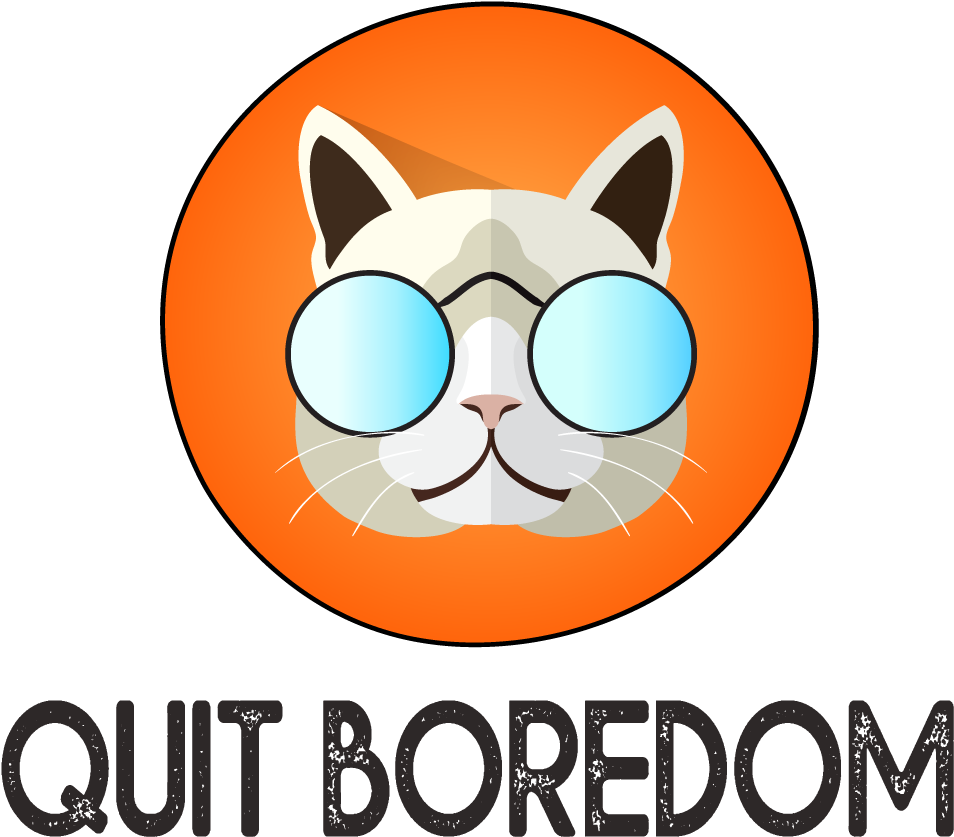 Cool Cat Meme Quit Boredom PNG Image