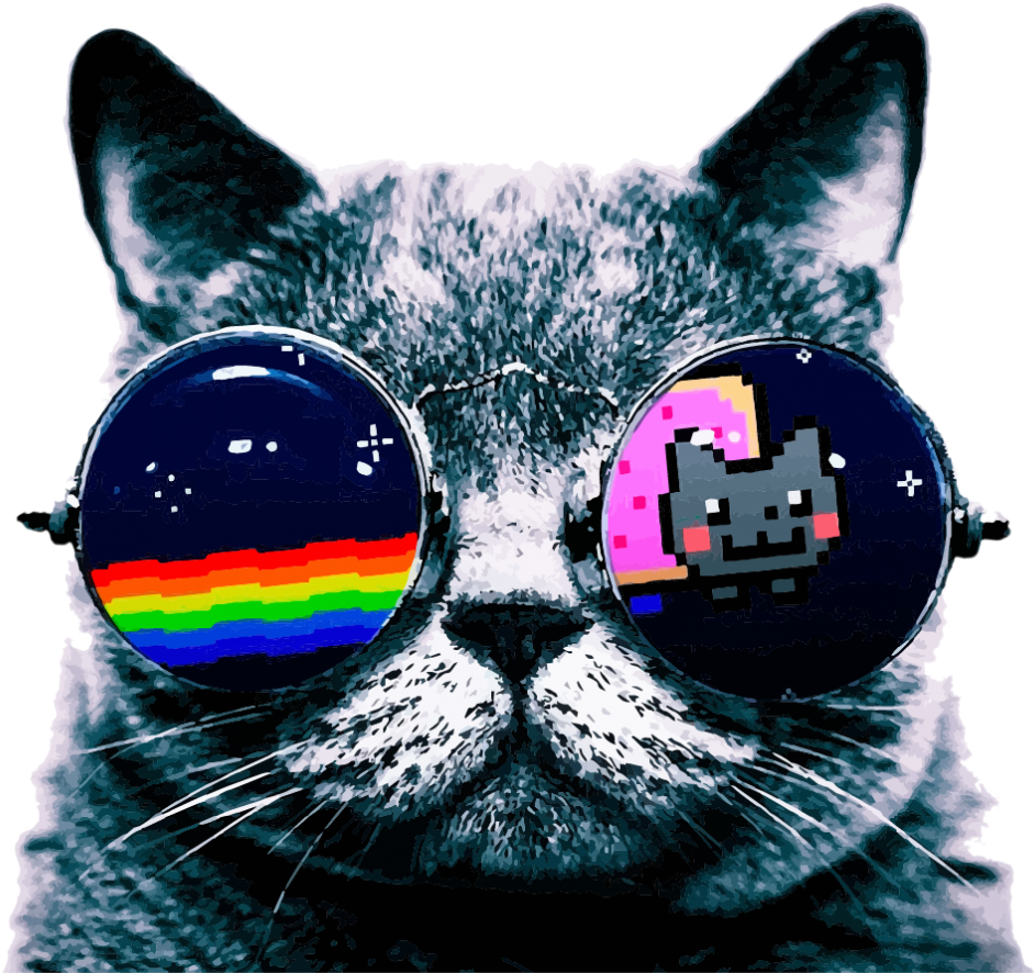 Cool Cat Memewith Sunglasses PNG Image