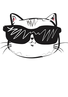 Cool Catwith Sunglasses PNG Image