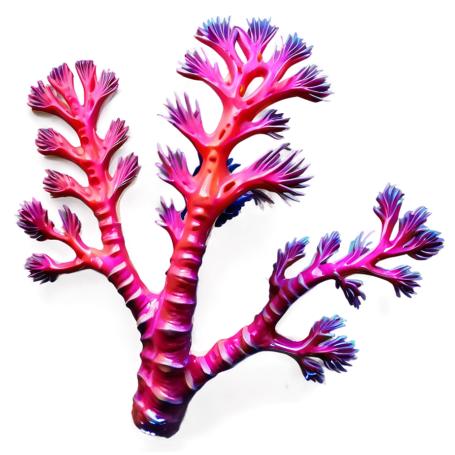 Coral Branch Underwater Png Lgk95 PNG Image