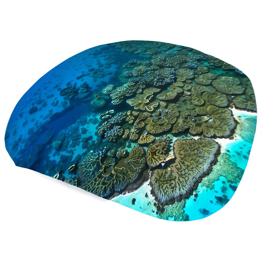 Coral Reef Aerial View Png Ips4 PNG Image