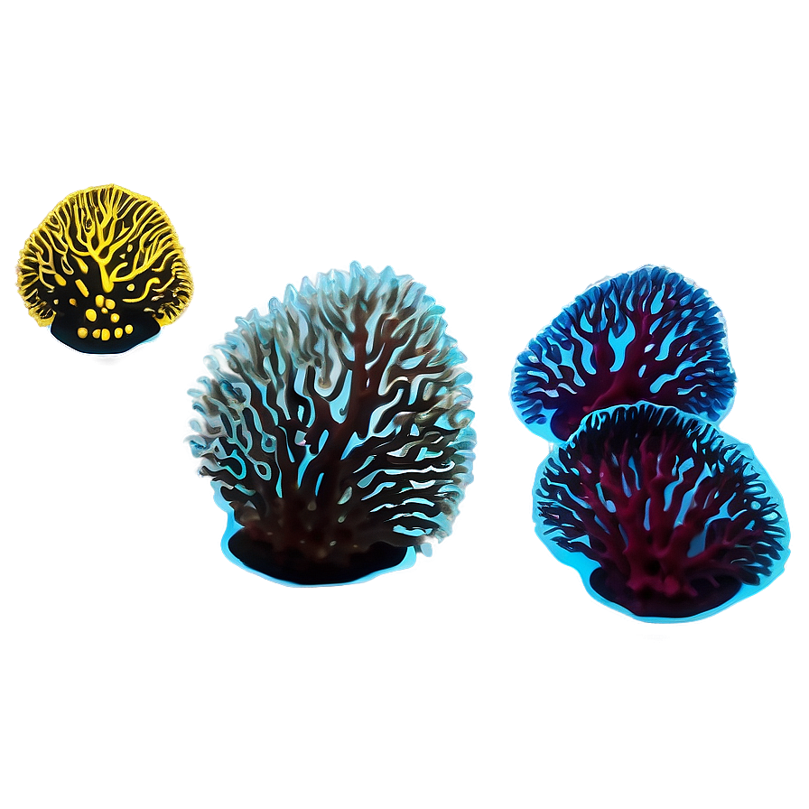 Coral Reef Ecosystem Png Hwx PNG Image