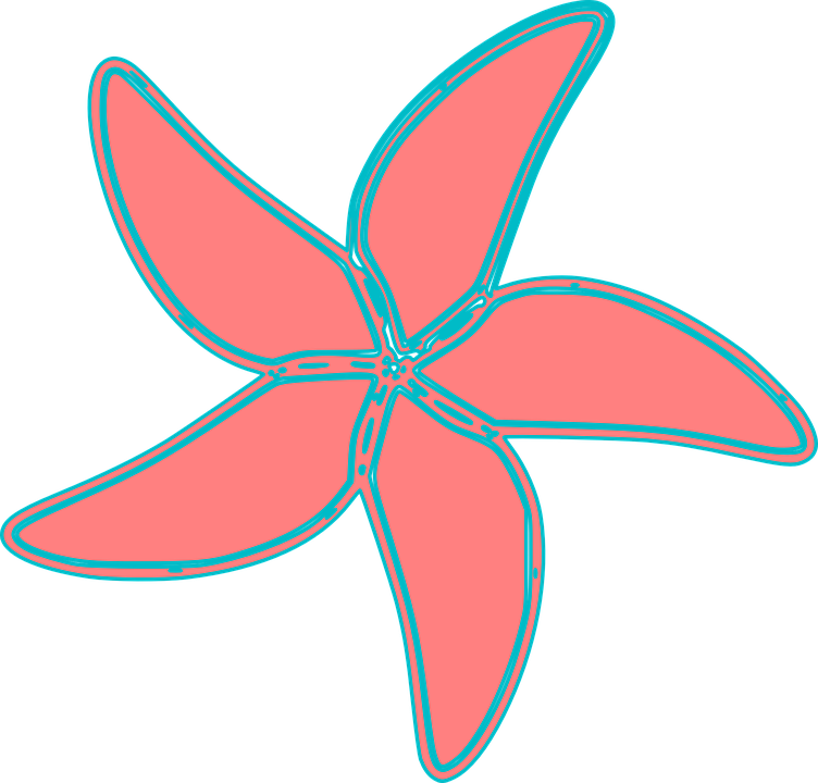 Coral_ Starfish_ Clipart_ Vector PNG Image