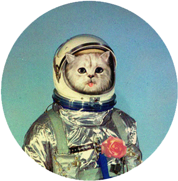 Cosmic Cat Astronautwith Rose PNG Image