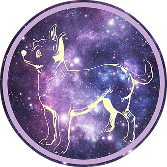 Cosmic Chihuahua Constellation PNG Image