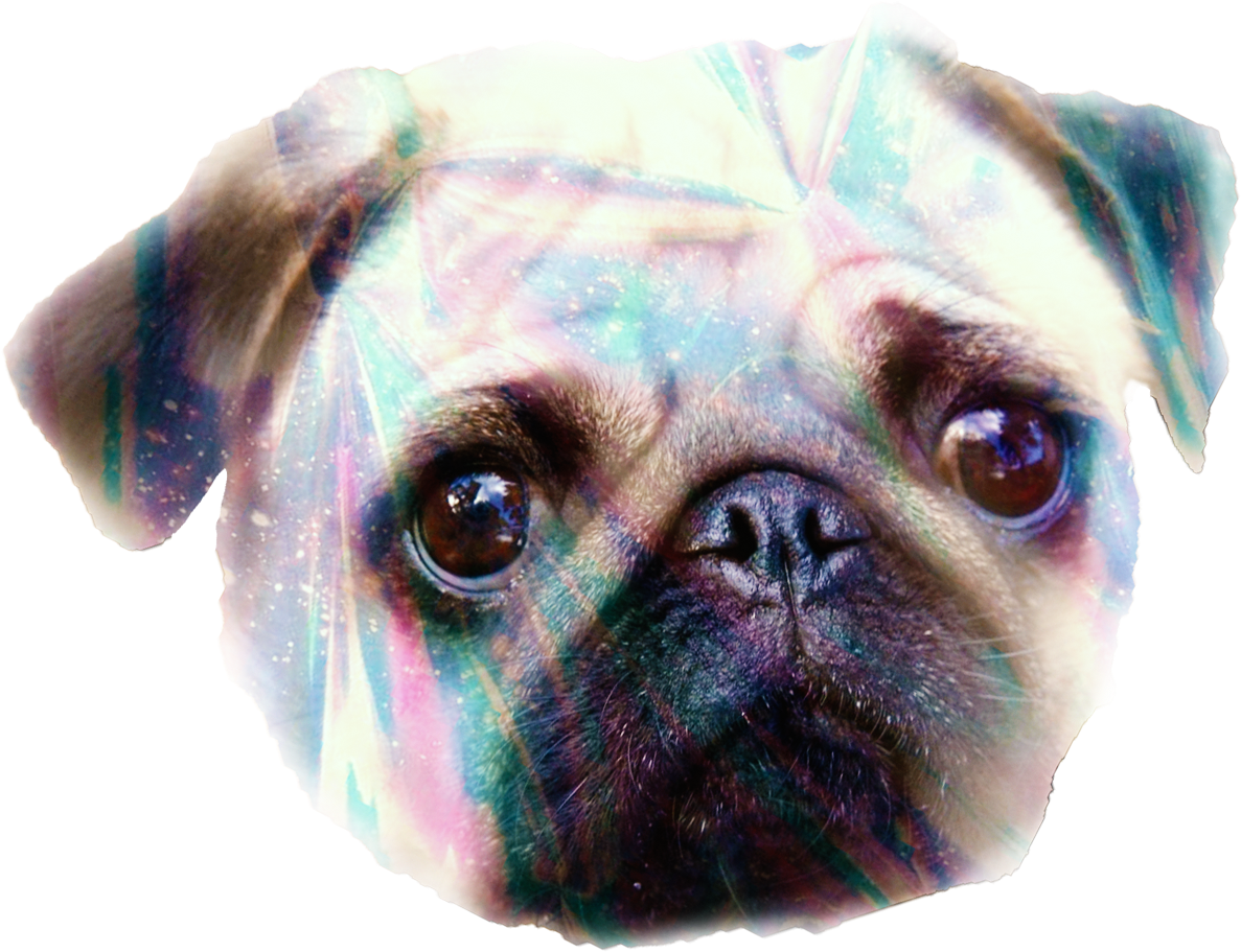 Cosmic Pug Portrait PNG Image