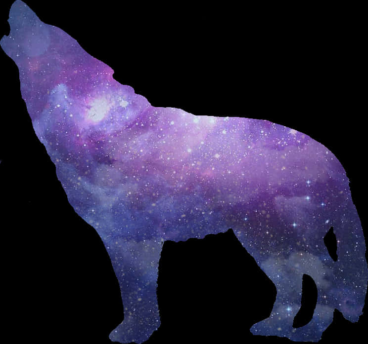 Cosmic Wolf Silhouette PNG Image