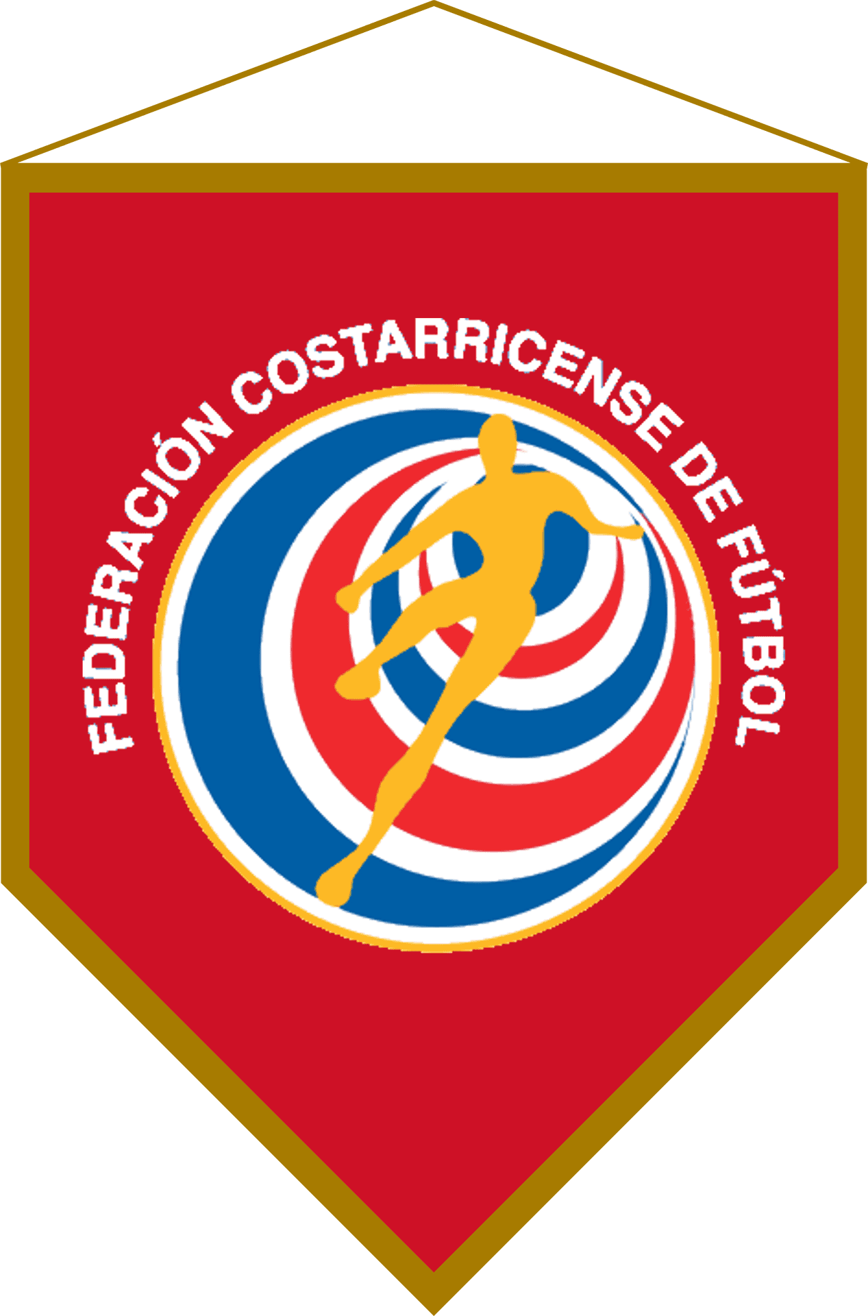 Costa Rican Football Federation Pennant PNG Image