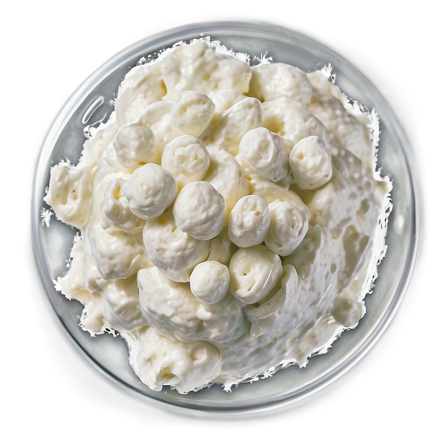 Cottage Cheese Delight Png 06262024 PNG Image