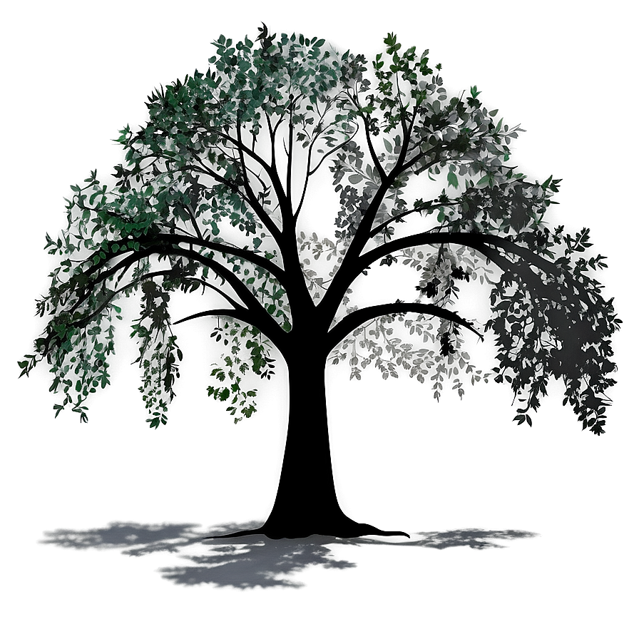 Countryside Tree Shadow Png Lqe PNG Image