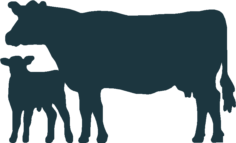 Cowand Calf Silhouette PNG Image