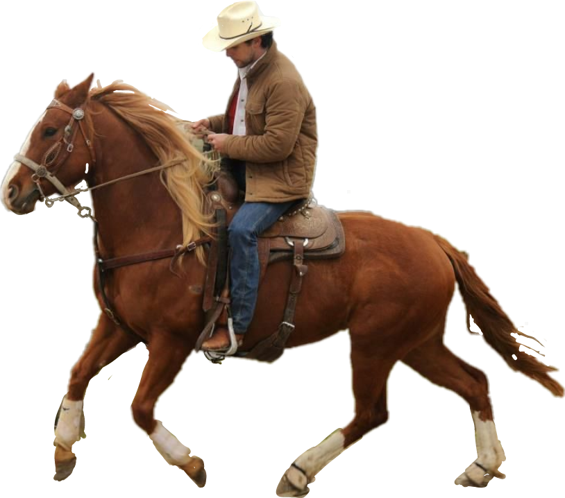 Cowboy Horseback Riding PNG Image