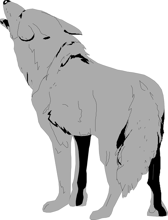 Coyote Howling Silhouette PNG Image