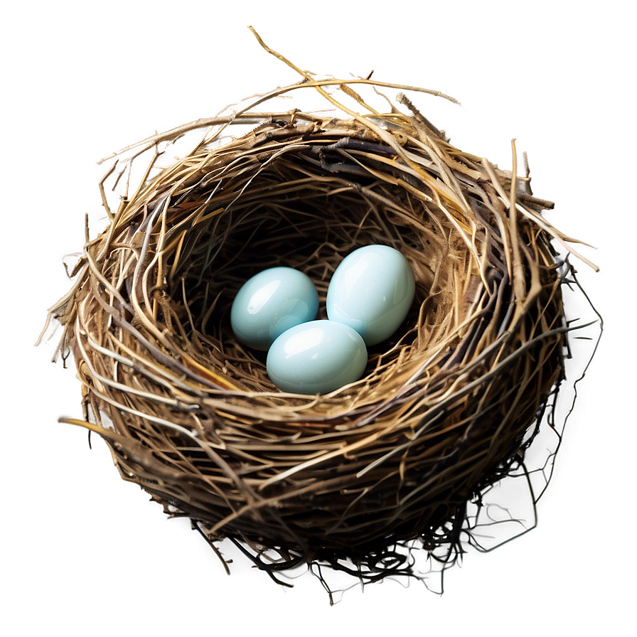 Cozy Bird Nest Png Hwp68 PNG Image