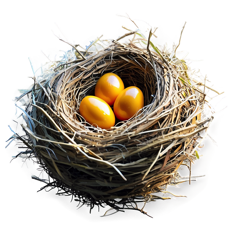 Cozy Bird Nest Png Pcq78 PNG Image