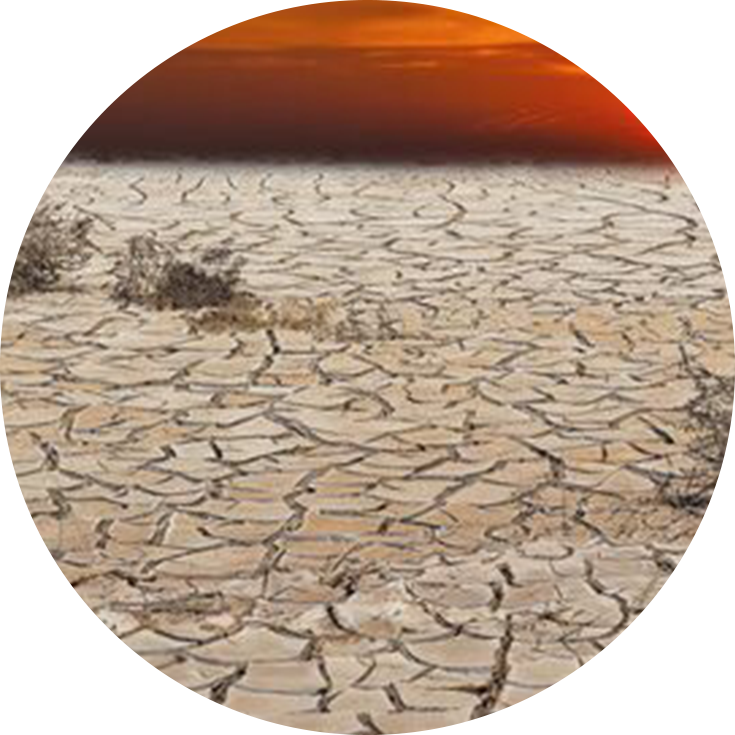 Cracked Desert Floor Sunset PNG Image