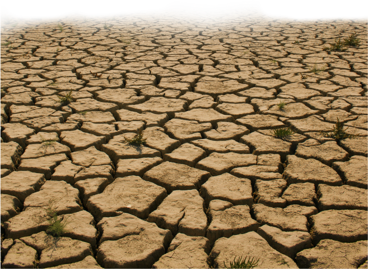 Cracked Desert Soil PNG Image