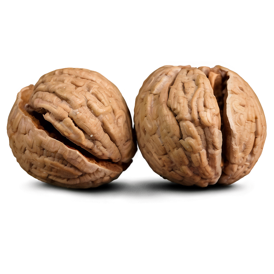 Cracked Walnut Png 52 PNG Image