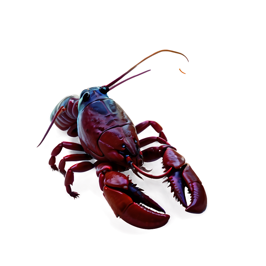 Crawfish Illustration Png 06122024 PNG Image