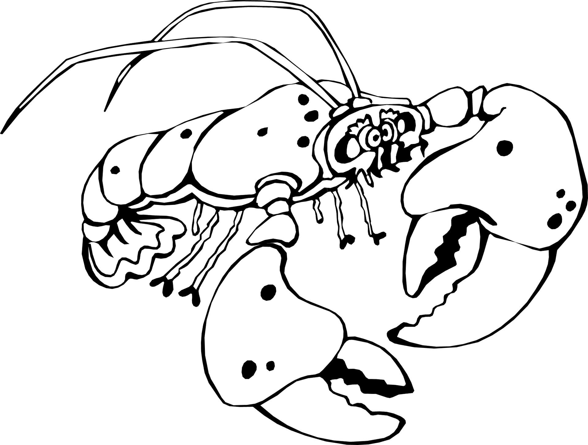 Crayfish Illustration Graphic PNG Image