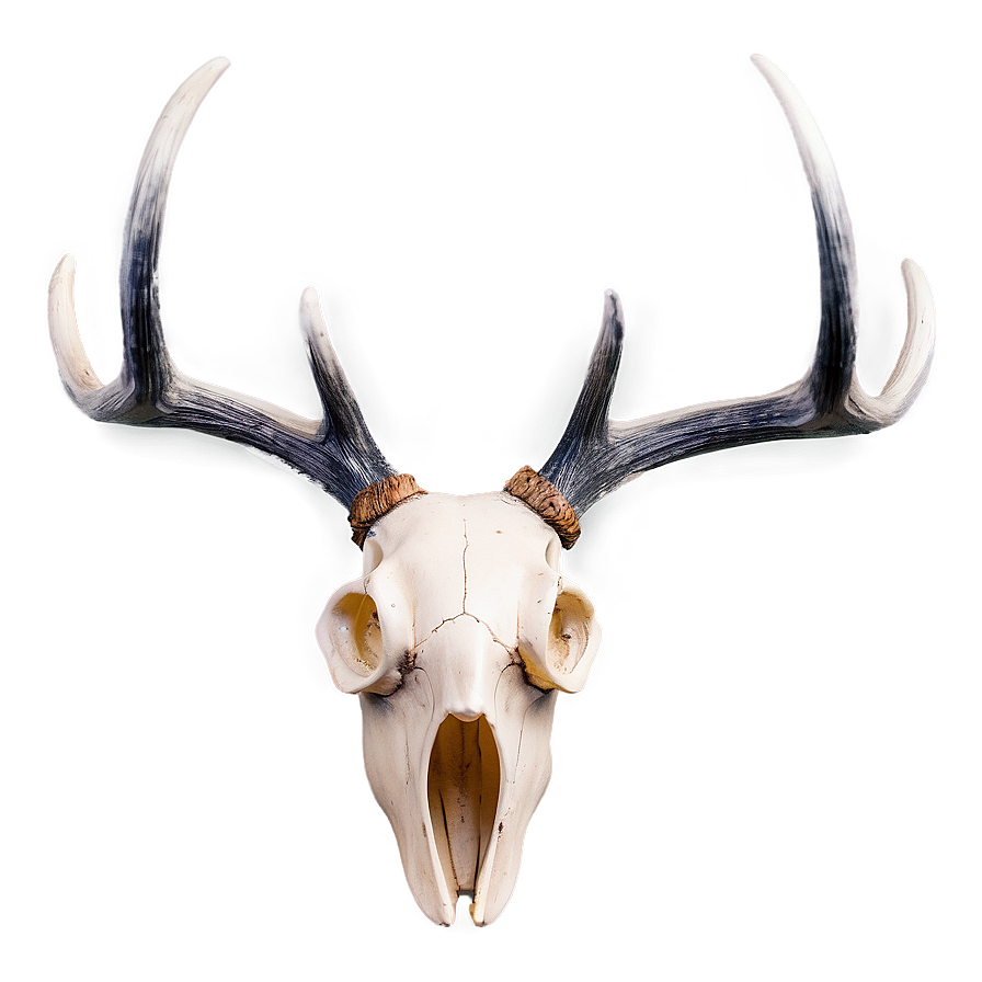 Creative Deer Antler Shape Png Qrq PNG Image