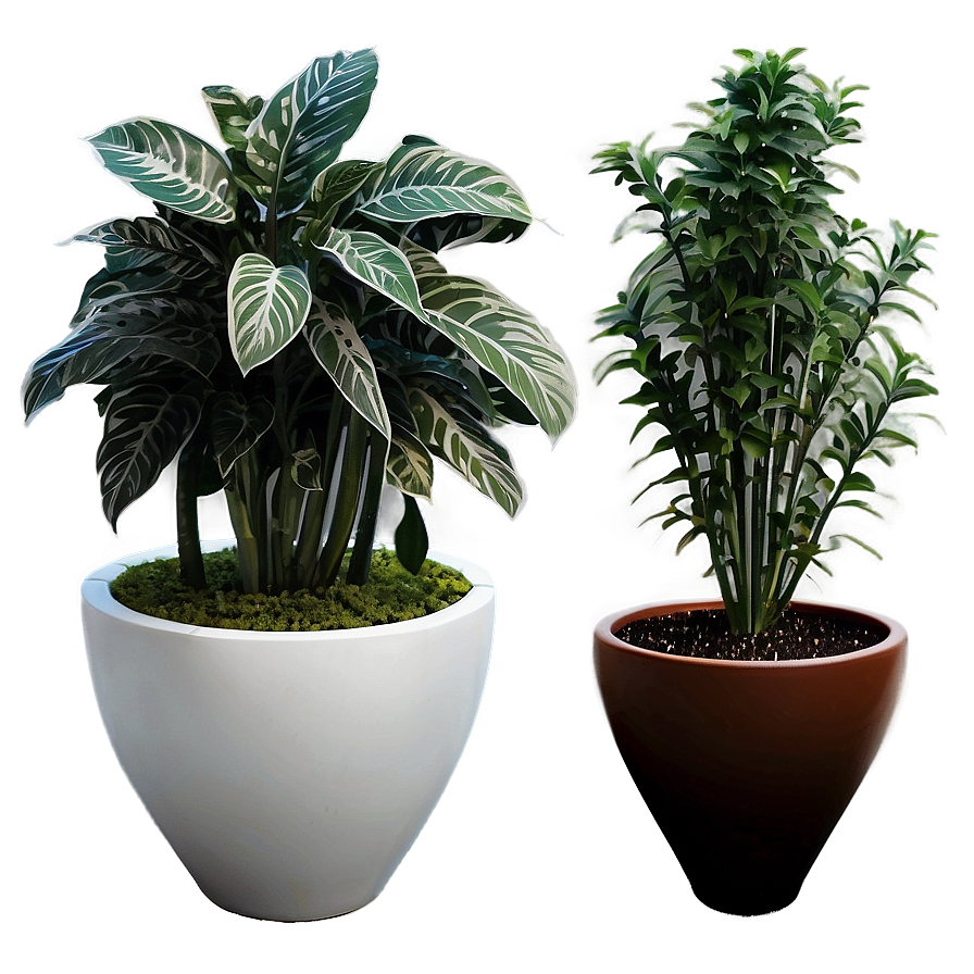 Creative Potted Plant Arrangements Png Dxd PNG Image